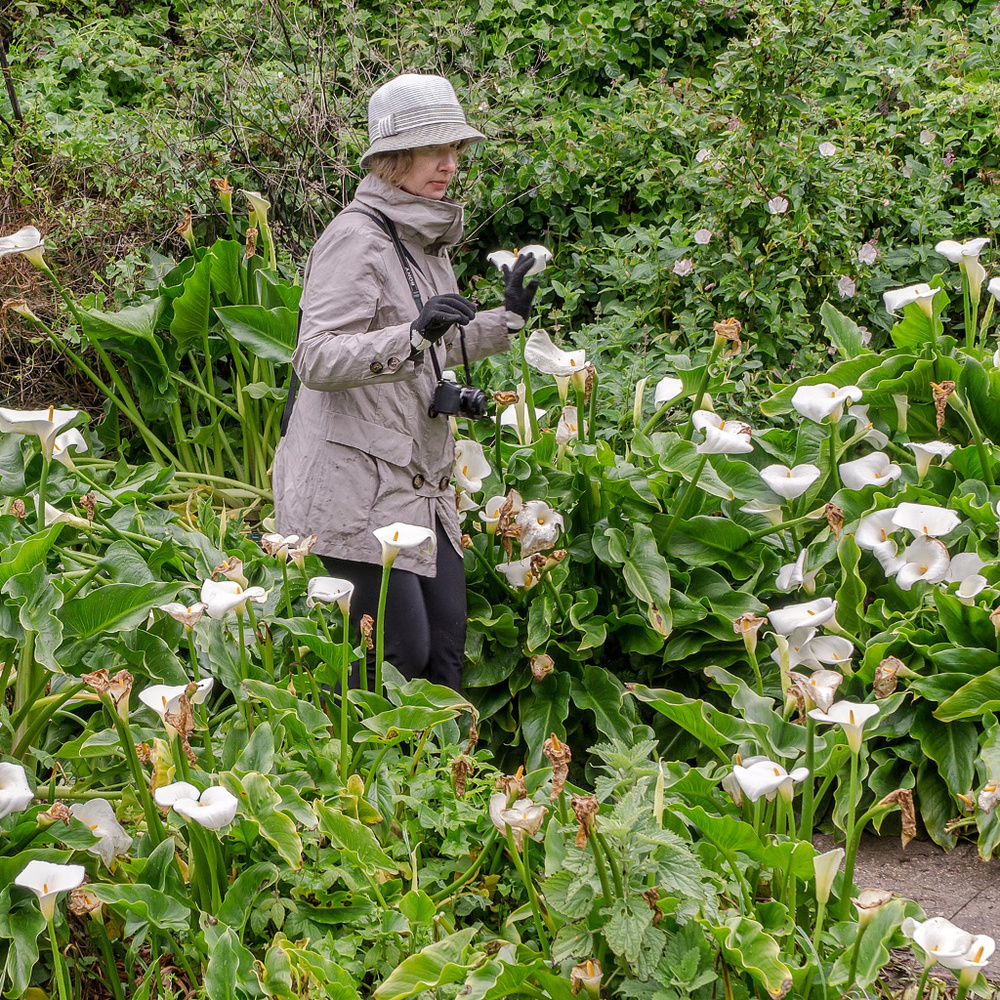 Meet your Posher, Olga